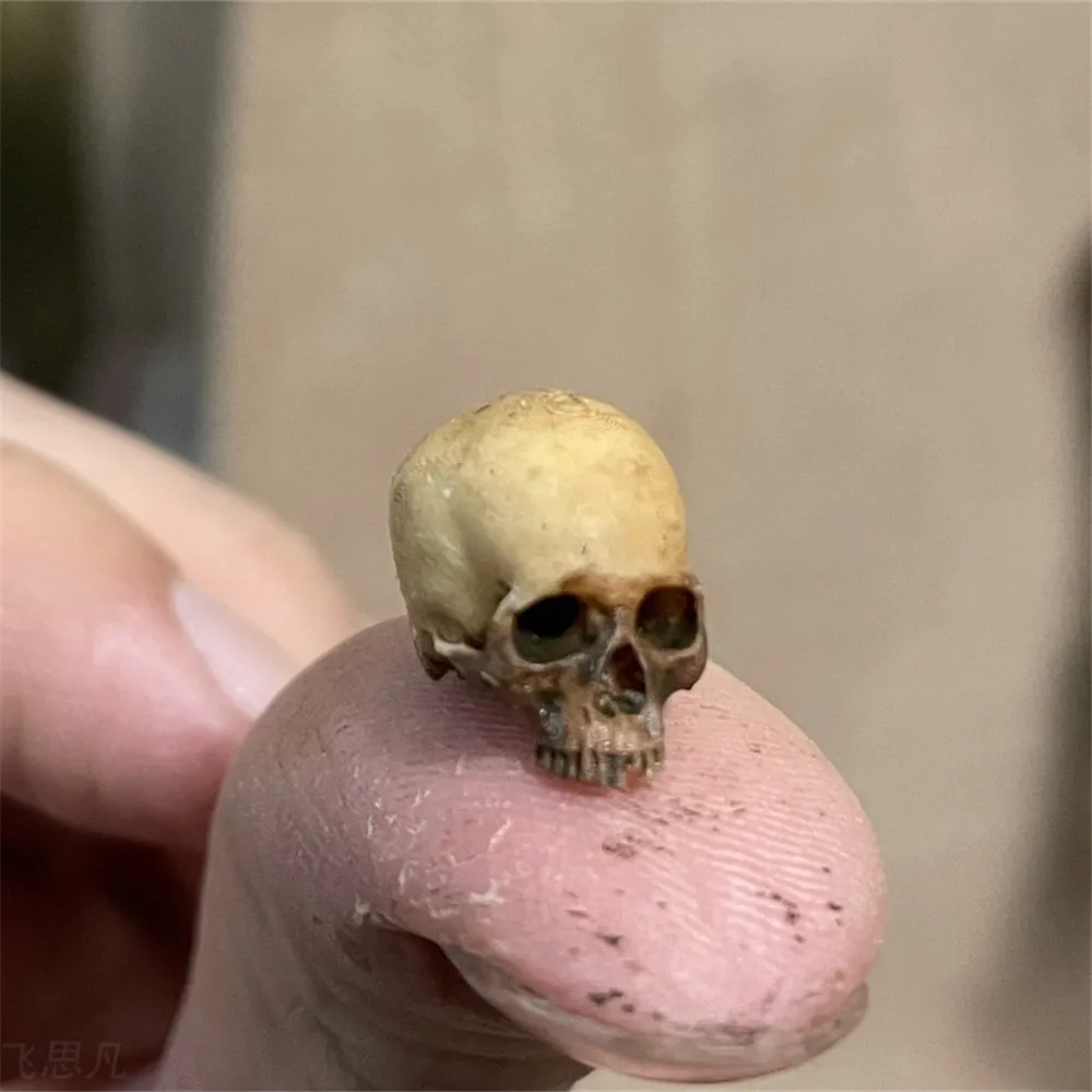 Aquarium Fish To Buy - Mini Skull High Quality Miniature Model