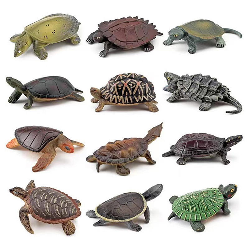 Aquarium Fish For Beginners - Realistic Turtle Action Figure Animals Figurines