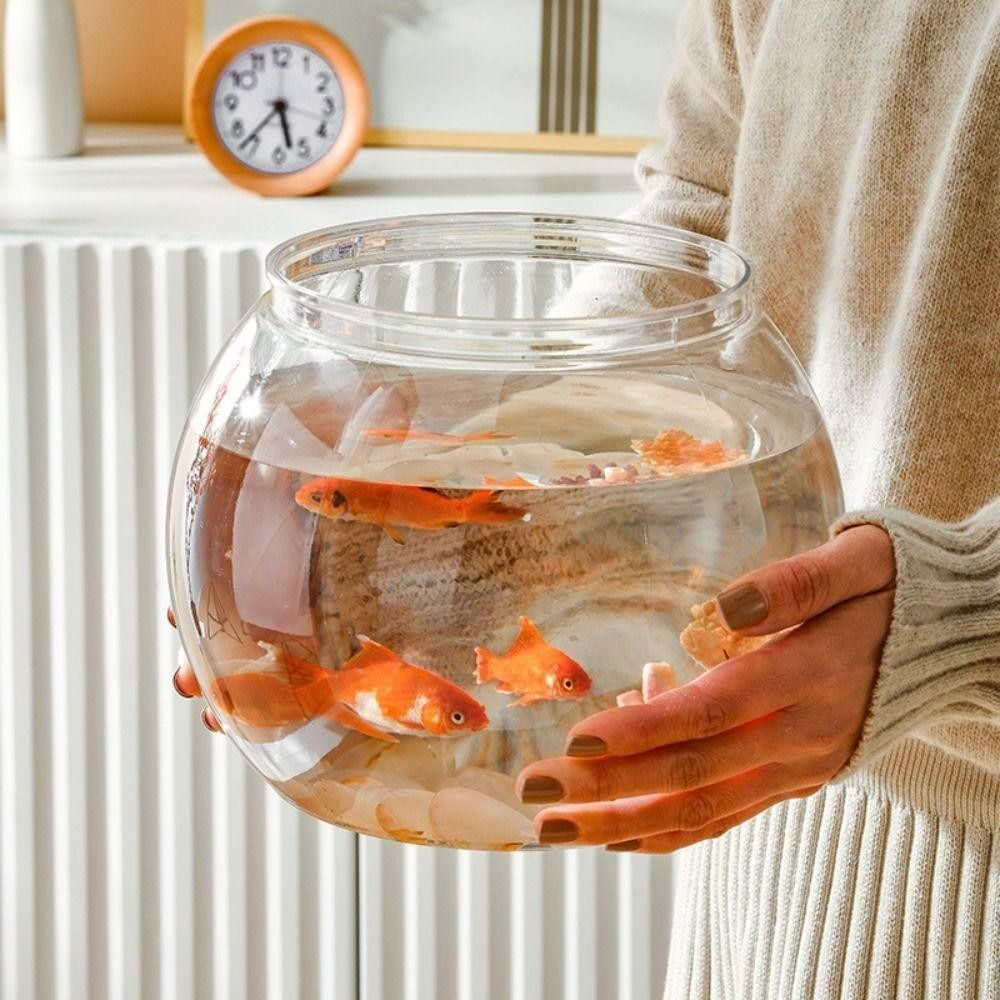 Aquarium Fish For Beginners - New Transparent Fish Tank Round Unbreakable