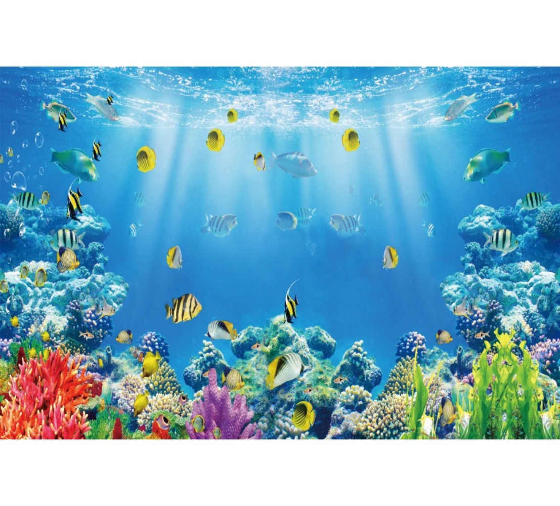 Underwater World Fish Coral Aq - Aquarium Fish Of The World recension och pris