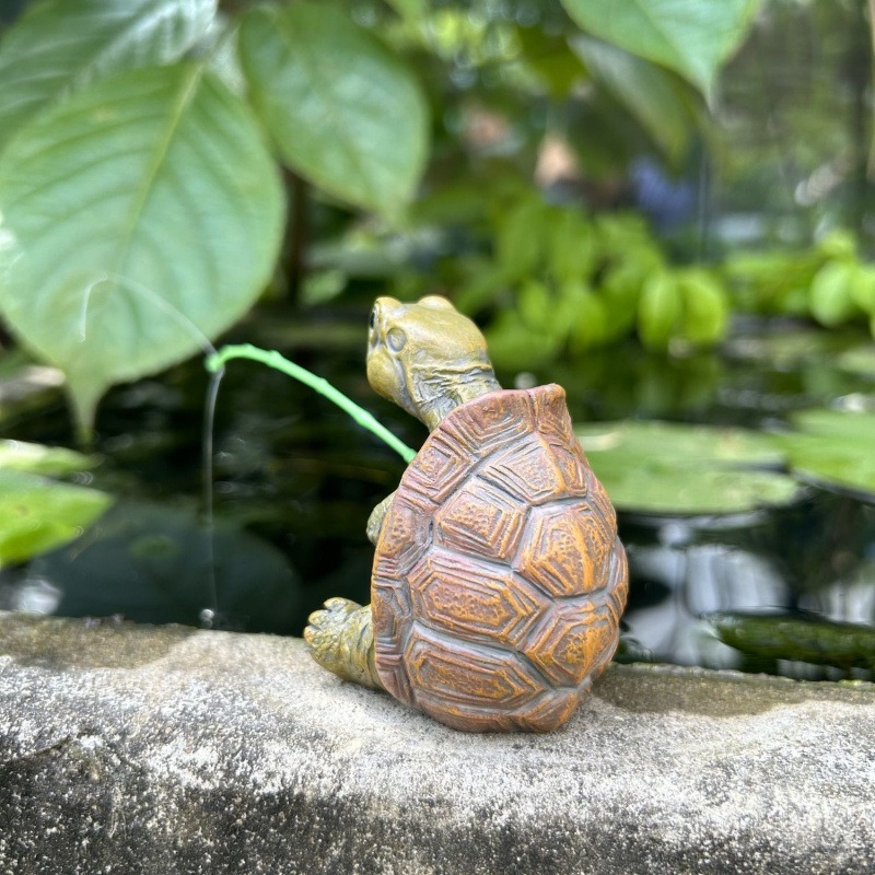 Turtle fishing fish tank aquar - Aquarium Fish To Buy recension och pris