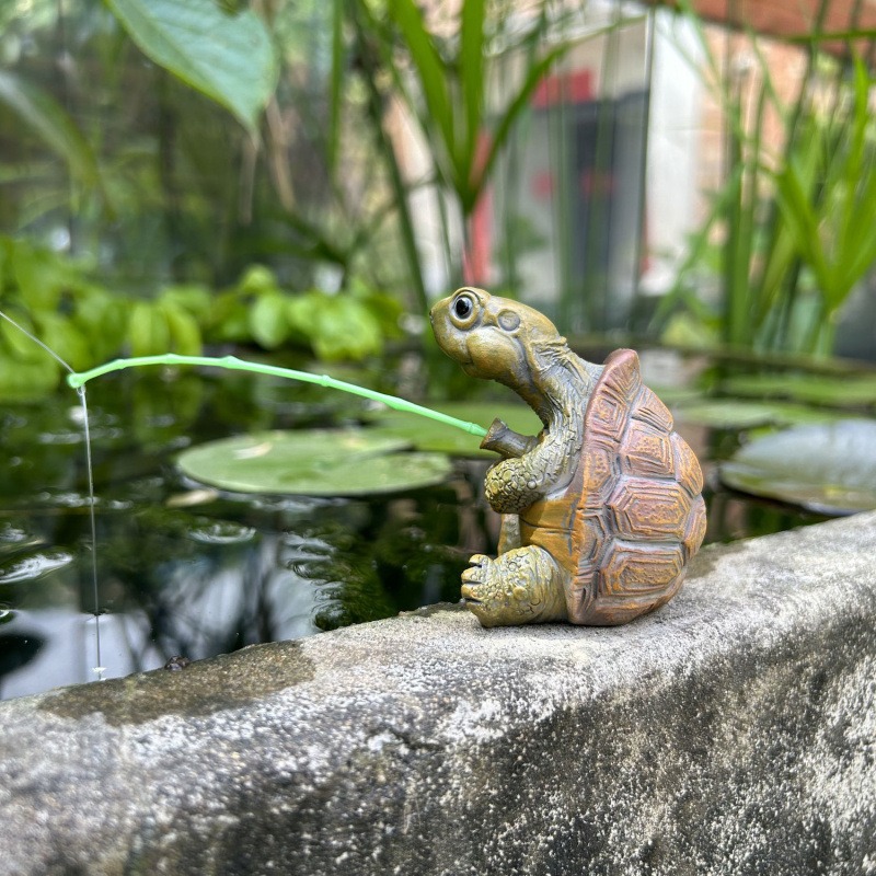 Turtle fishing fish tank aquar - Aquarium Fish To Buy recension och pris
