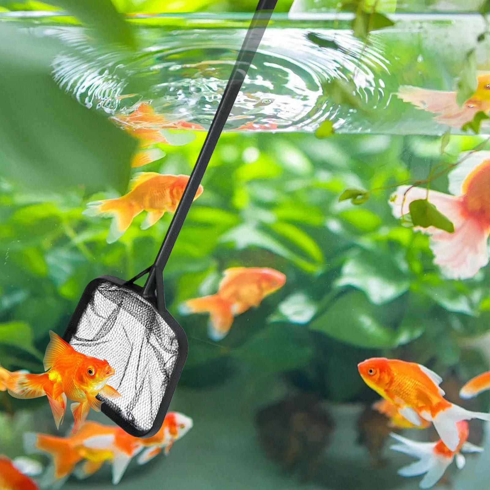 Pool Nets for Cleaning Portabl - Aquarium Fish Real recension och pris