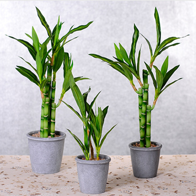 New 40cm rFtificial Lucky Bamb - Aquarium Fish To Buy recension och pris