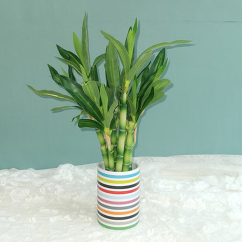 New 40cm rFtificial Lucky Bamb - Aquarium Fish To Buy recension och pris