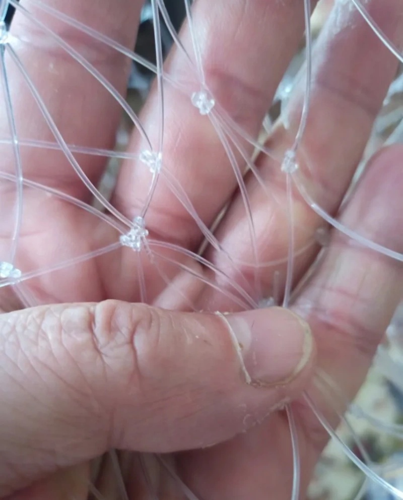 53/60/85cm Double Line Fishing - Fish Net Handle recension och pris