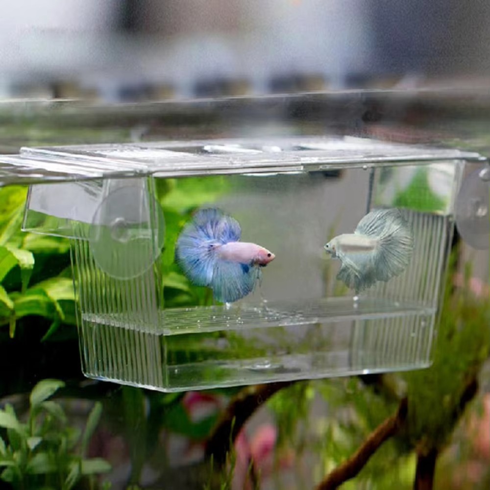 Creative Acrylic Fish Tank Bre - Aquarium Fish Reproduction recension och pris