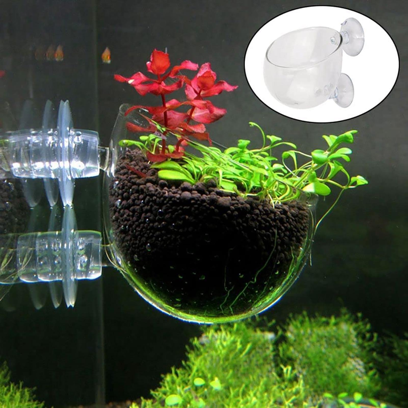 Aquatic Plant Cups Pot with Su - Aquarium Fish Beautiful recension och pris