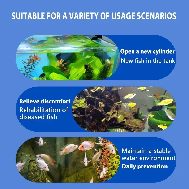 SIKEZHAN Fish Disease Treatmen - Aquarium Fish Freshwater recension och pris