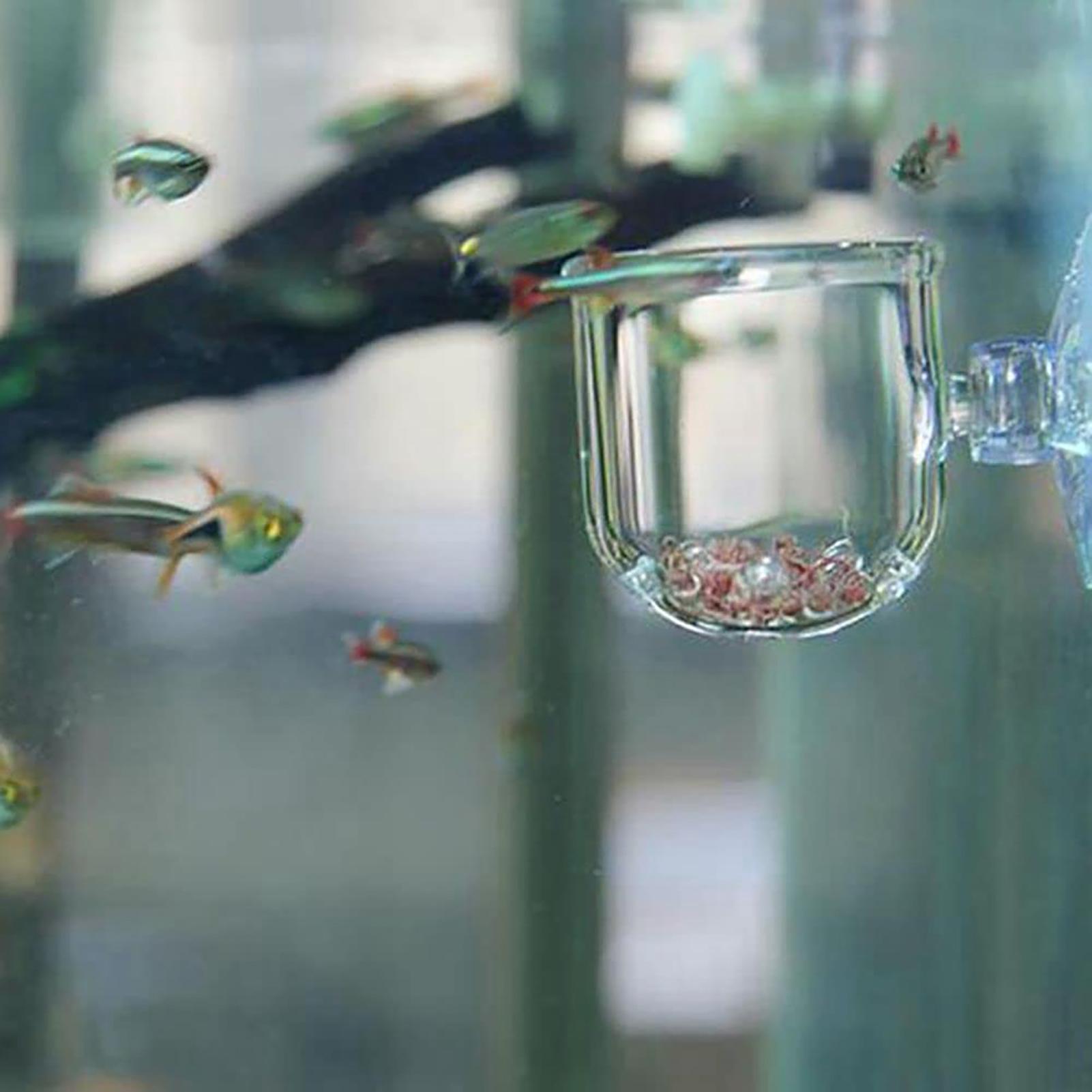 Acrylic Aquarium Plant Pots Aq - Aquarium Fish Beautiful recension och pris
