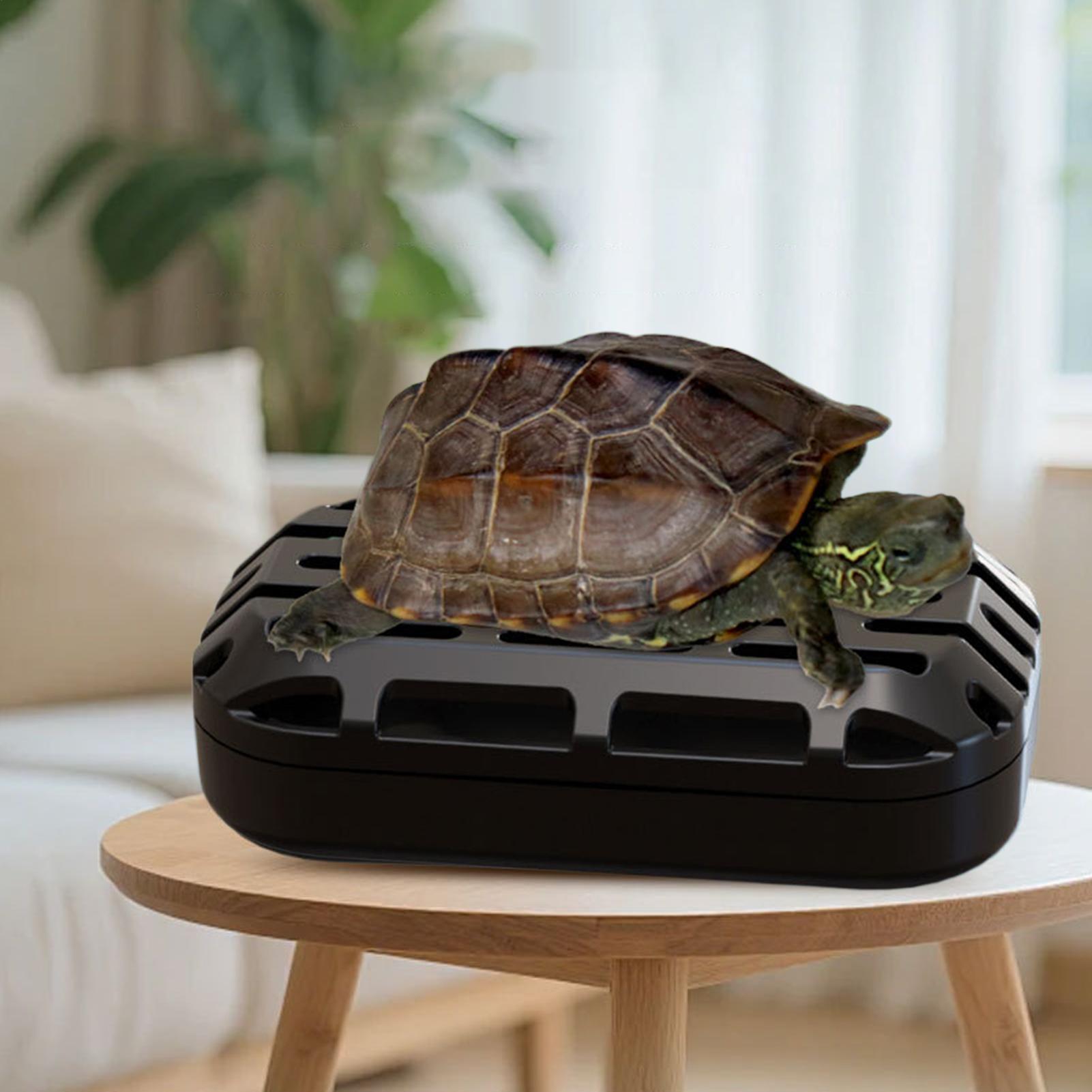 Turtle Poop Catcher Suction Cu - Aquarium Fish Restaurant recension och pris