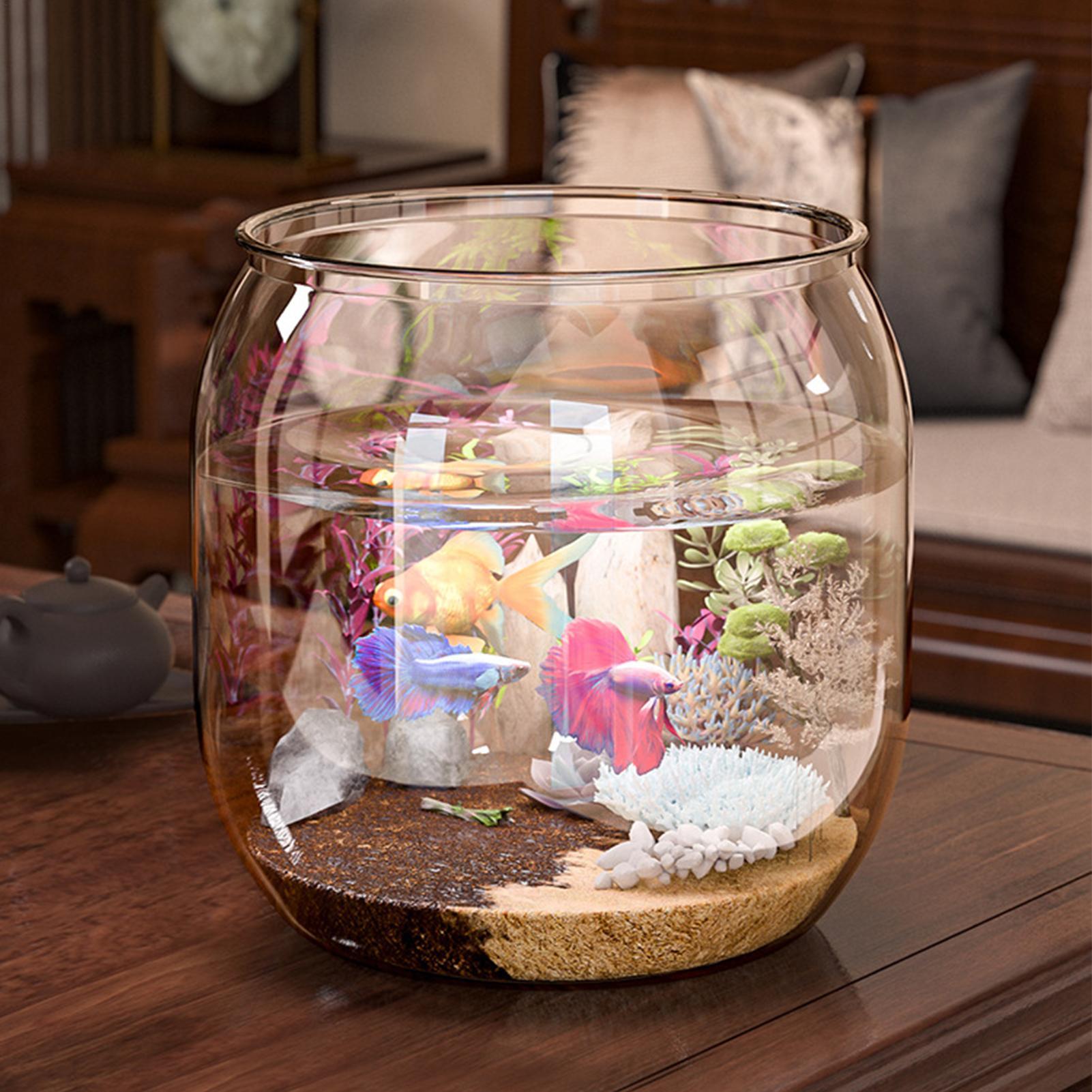 Mini Fish Bowl Decorative Clea - Aquarium Fish Restaurant recension och pris