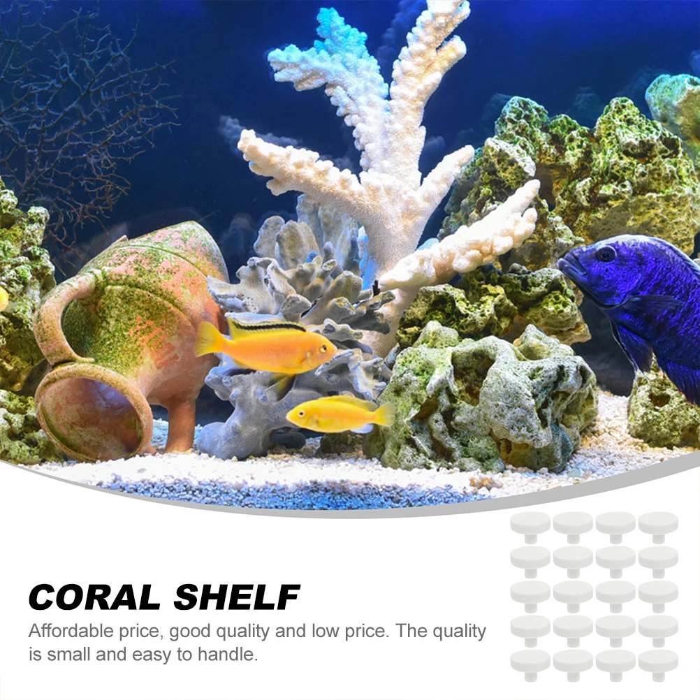 20Pcs Coral Glue Reef Safe Cor - Aquarium Fish Reproduction recension och pris
