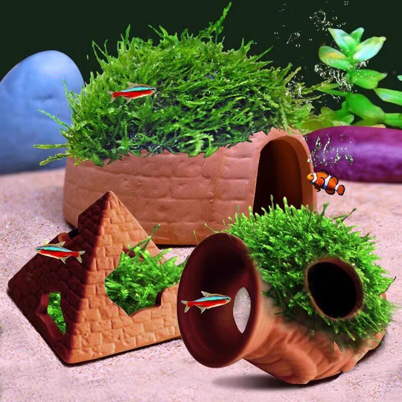  Clay Tank with Hiding Hole fo - Aquarium Fish Reproduction recension och pris