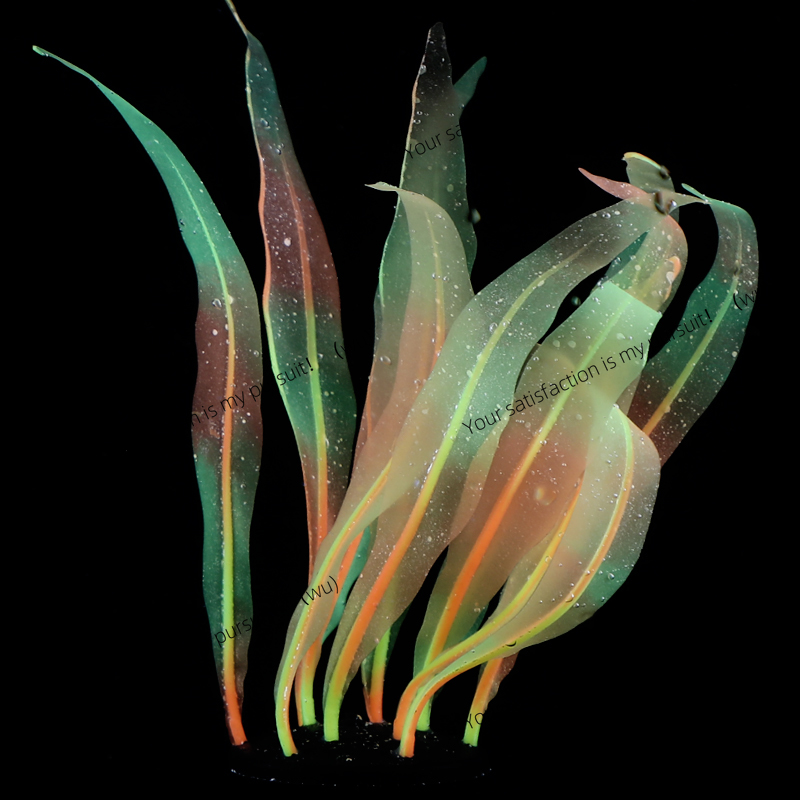 Simulated Kelp Plant Decoratio - Aquarium Fish Of The World recension och pris