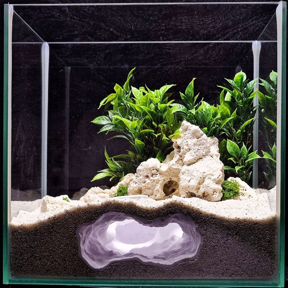 Highly Simulated Aquarium Fish - Aquarium Fish Reproduction recension och pris