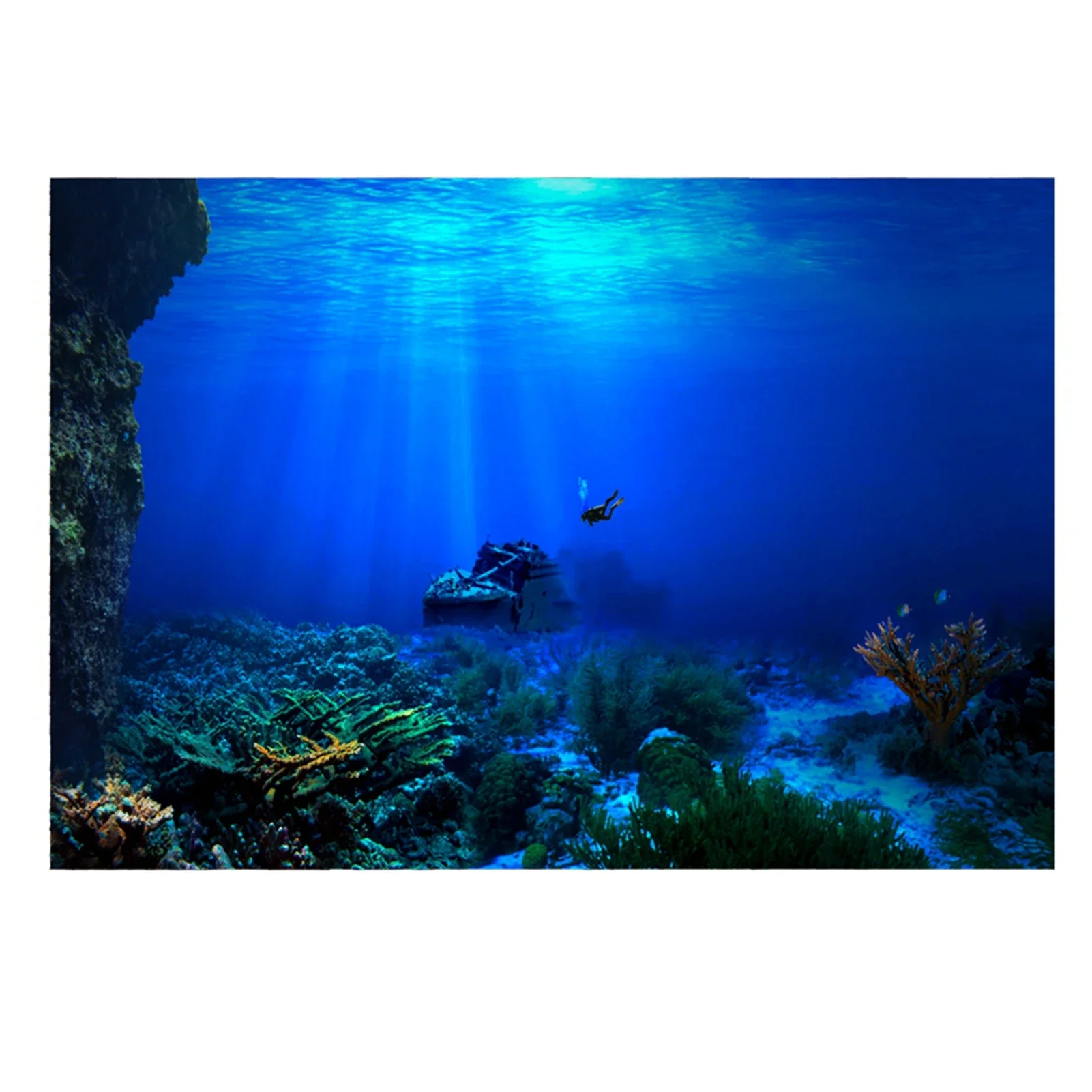 Rainforest Aquarium Background - Aquarium Fish Of The World recension och pris