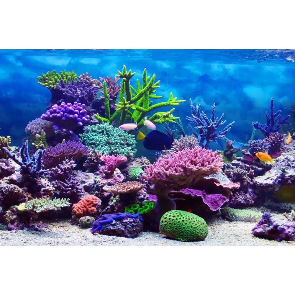Underwater World Seabed Backdr - Aquarium Fish Of The World recension och pris