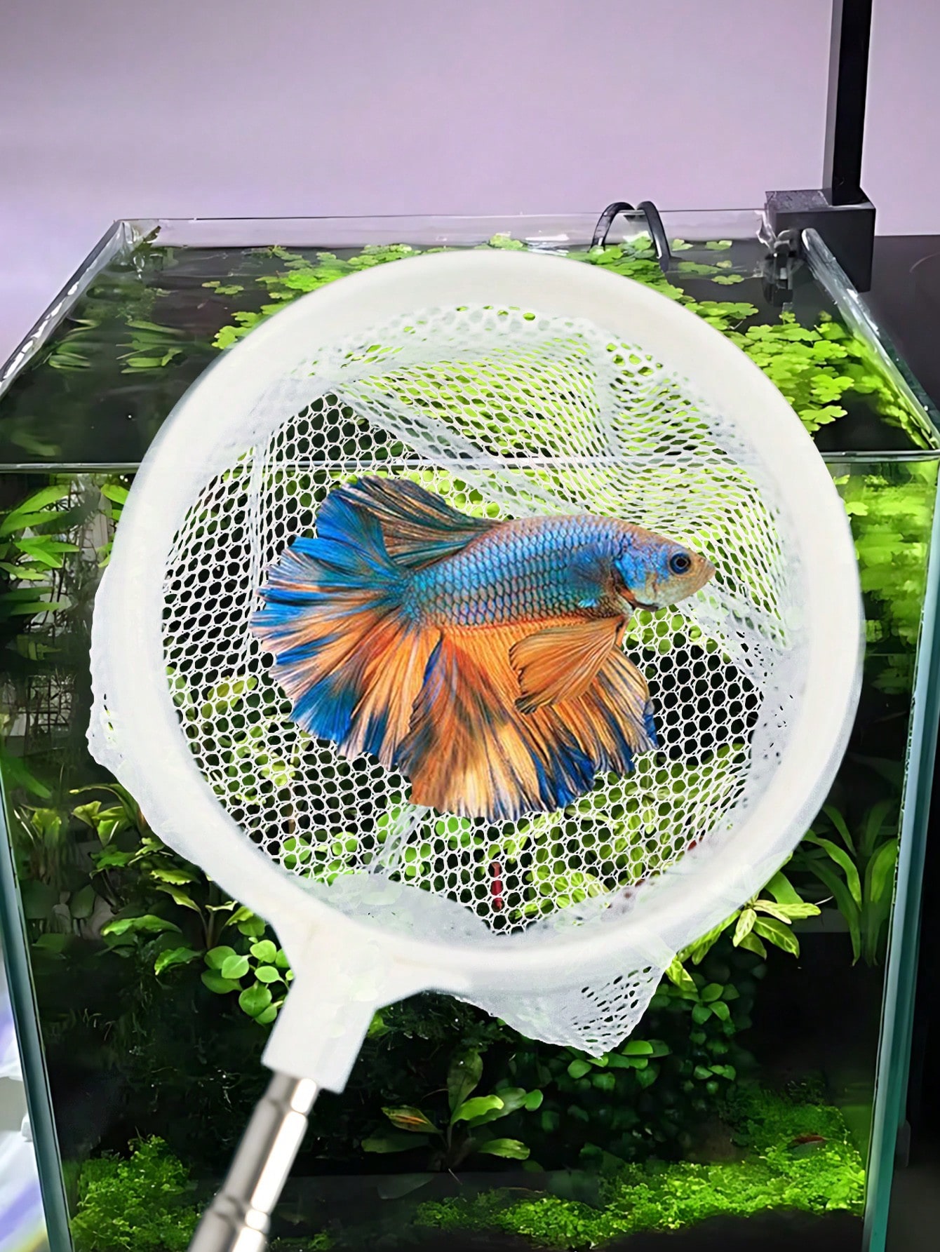 Aquarium Fish Net - a Retracta - Fish Net Handle recension och pris