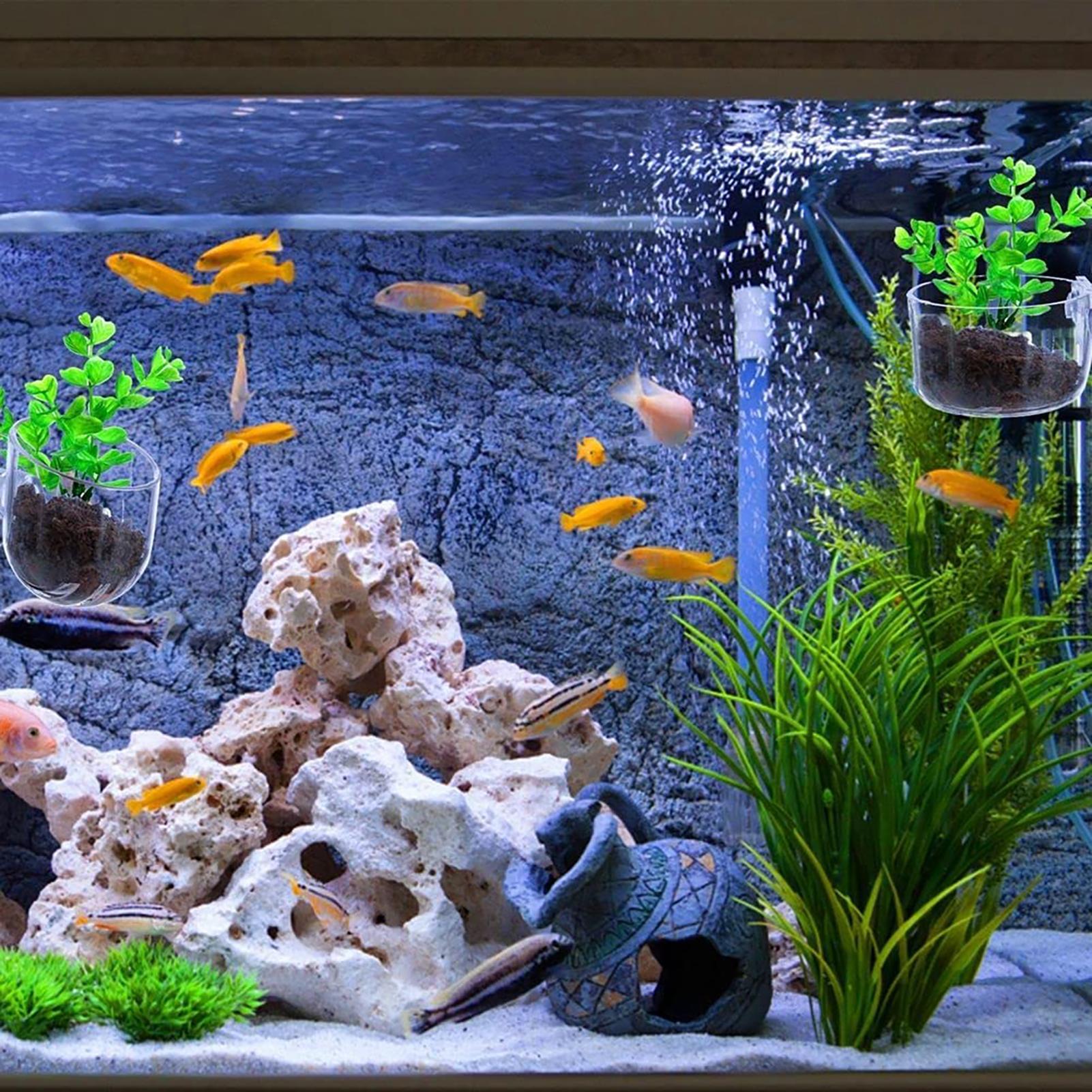 Plant Holder for Fish Tank Cle - Aquarium Fish Beautiful recension och pris