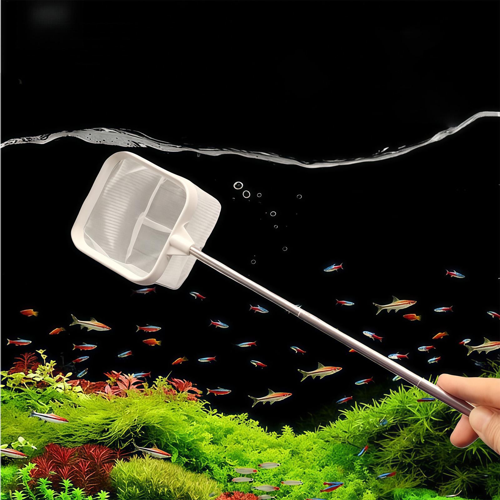 Extendable Long Handle Fine Me - Fish Net Handle recension och pris