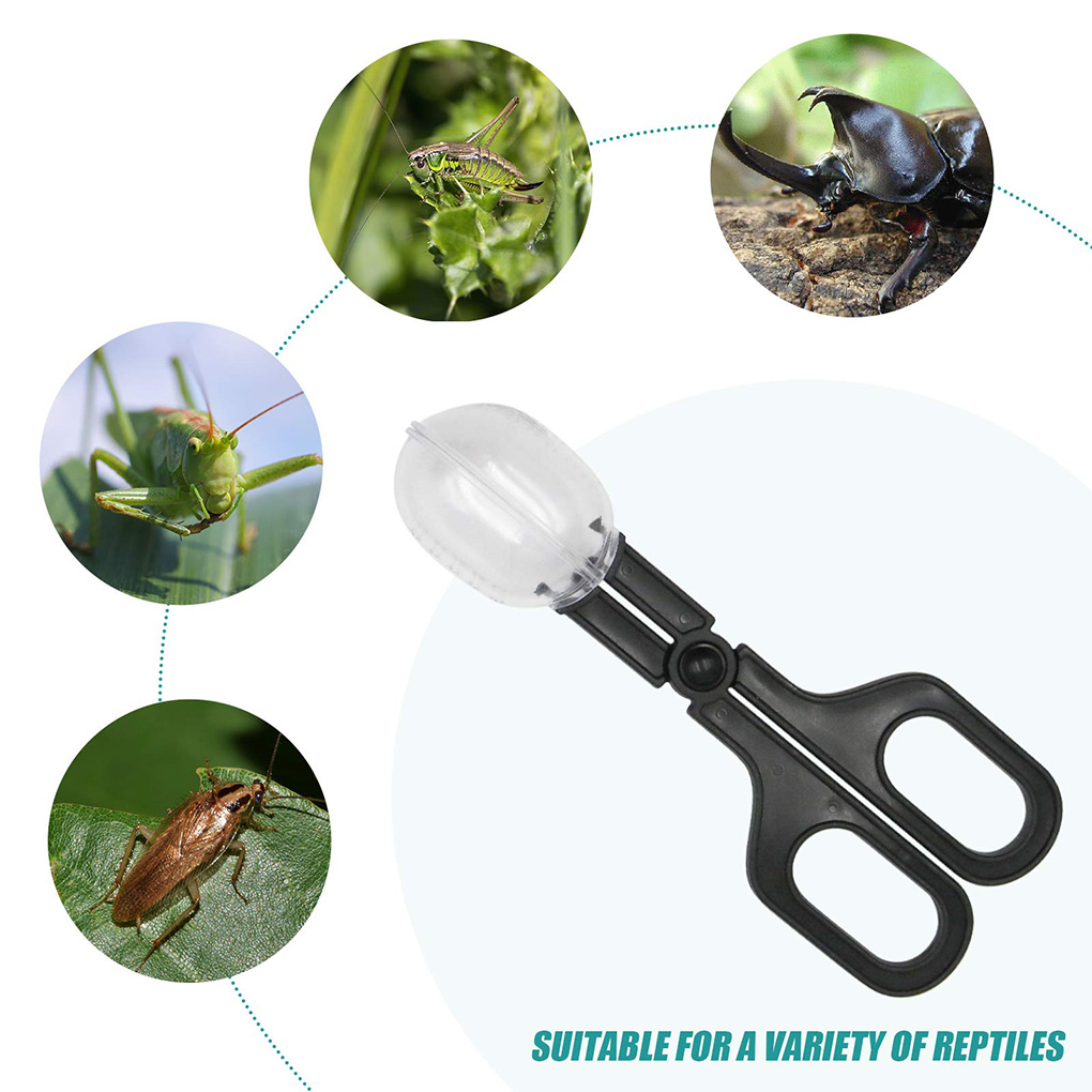 Portable Transparent Insect Ca - Aquarium Fish For Beginners recension och pris