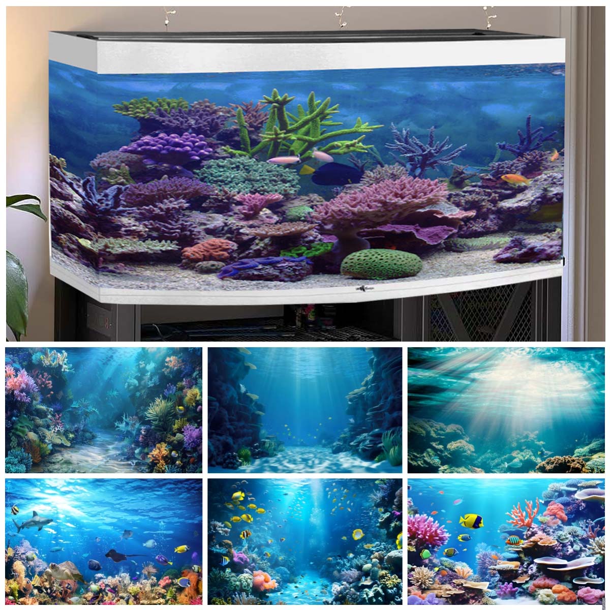 Underwater World Backgrounds f - Aquarium Fish Of The World recension och pris