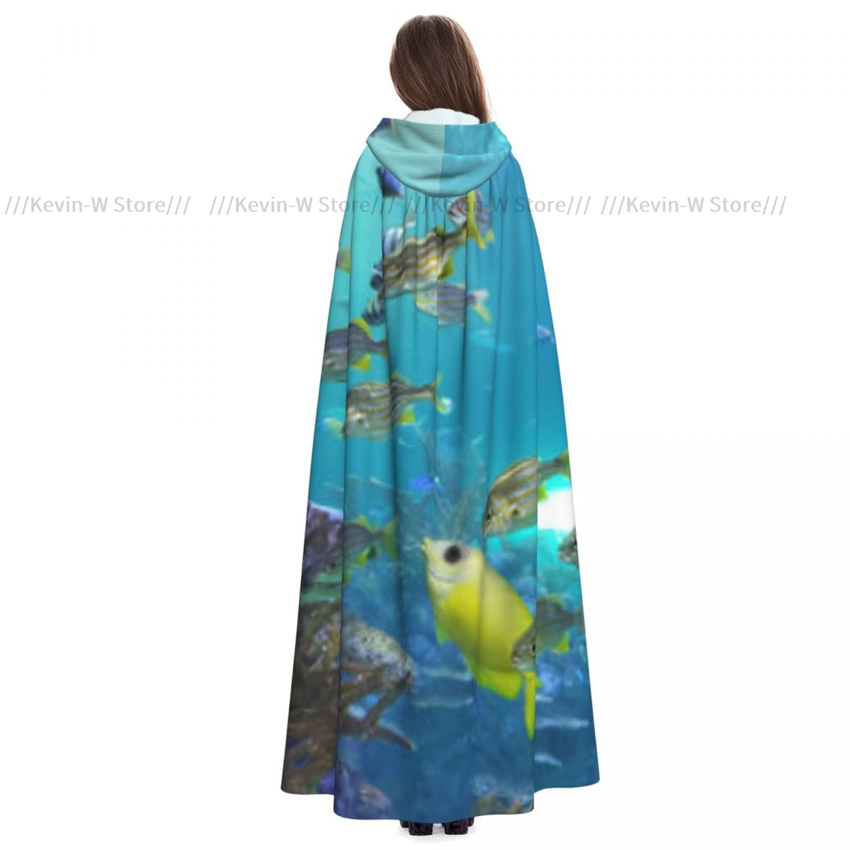 Fish Inside Aquarium Hooded Cl - Aquarium Queen Fish recension och pris