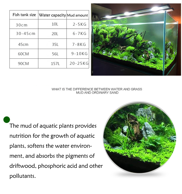 Aquarium Plant Seeds Soil Fish - Aquarium Fish To Buy recension och pris