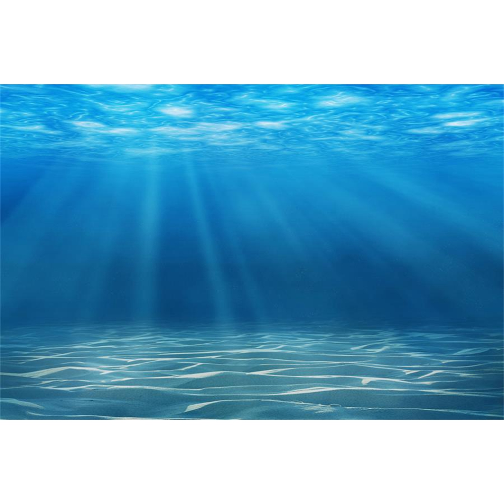 Underwater World Seabed Photog - Aquarium Fish Of The World recension och pris