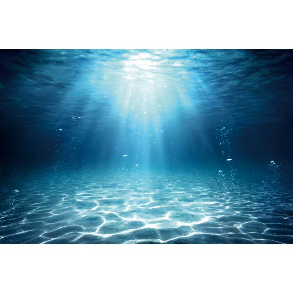 Underwater World Seabed Photog - Aquarium Fish Of The World recension och pris