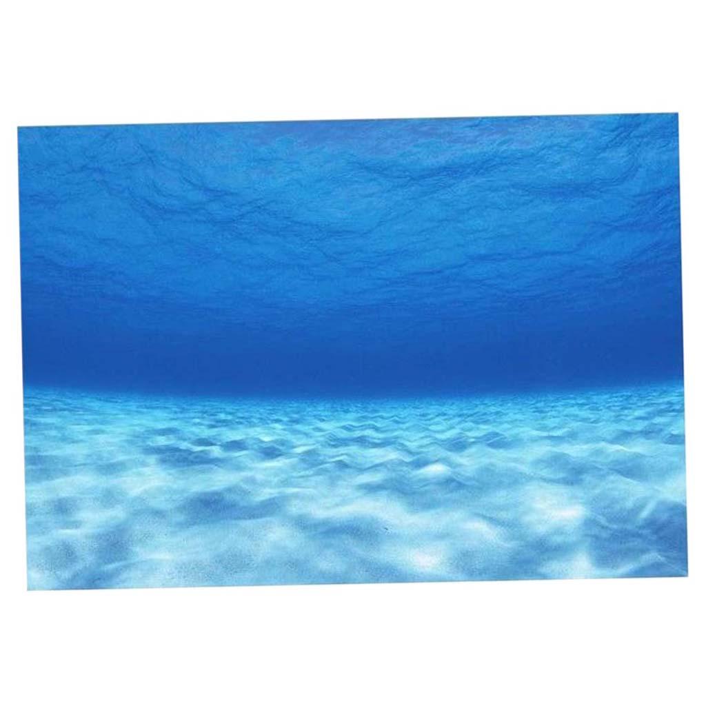 Side Decorative Aquarium Backg - Aquarium Fish Of The World recension och pris
