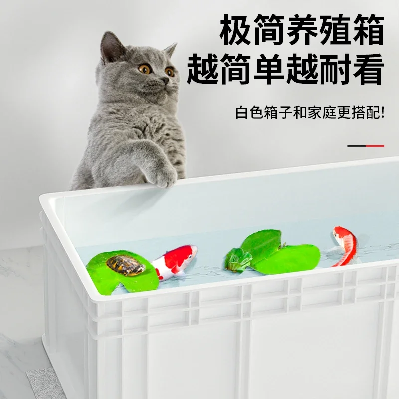 A  Turtle tank big turtle prof - Fish Co Aquarium recension och pris