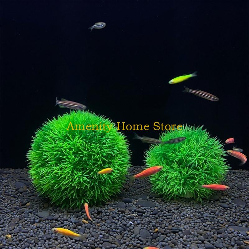 F26C Aquatic Plants Marimo for - Aquarium Fish Beautiful recension och pris