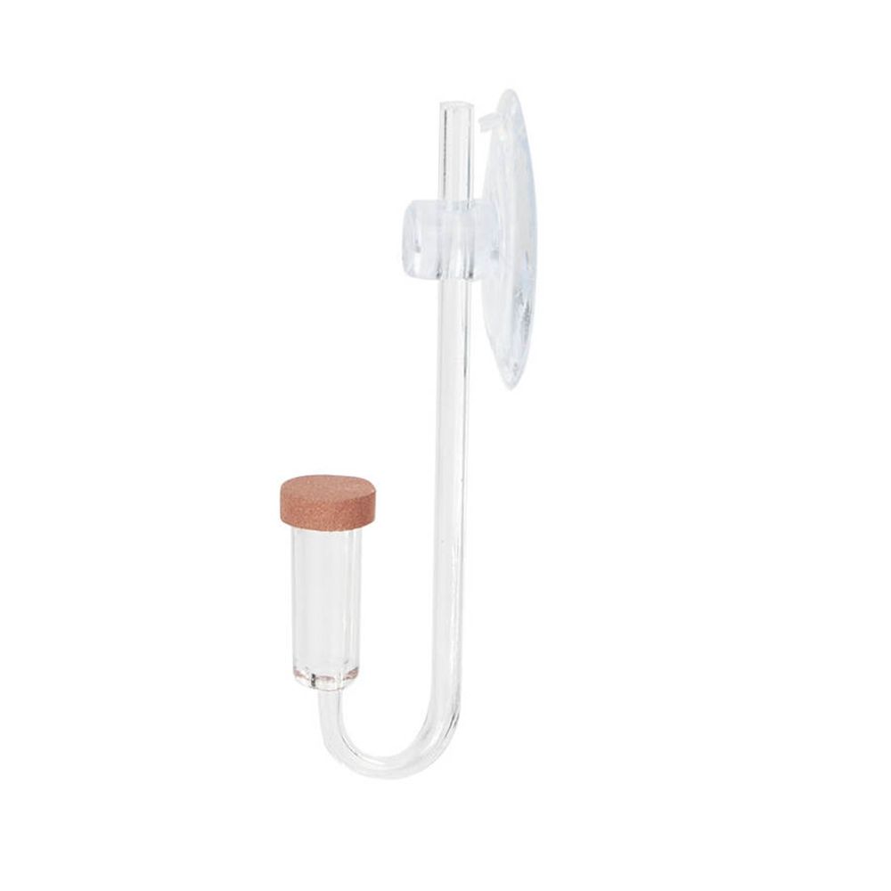 Acrylic Mini Fish Tank Live Pl - Aquarium Fish Real recension och pris