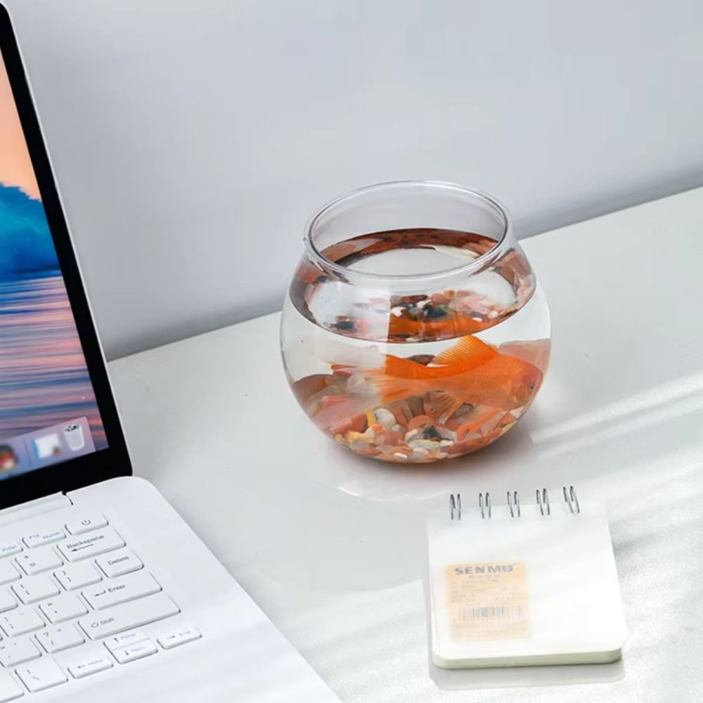 New Transparent Fish Tank Roun - Aquarium Fish For Beginners recension och pris