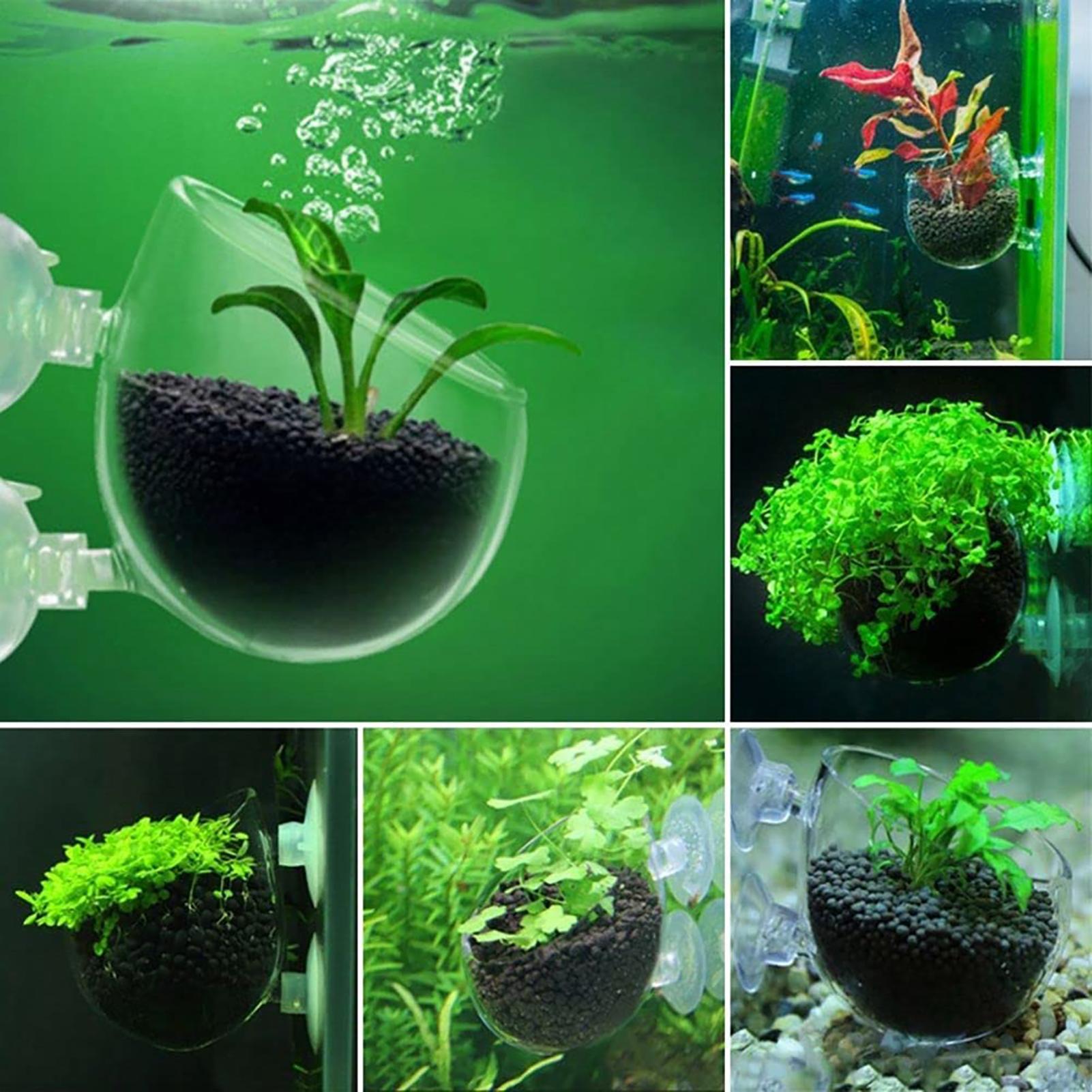 Aquarium Decoration Plant Cup  - Aquarium Fish Beautiful recension och pris