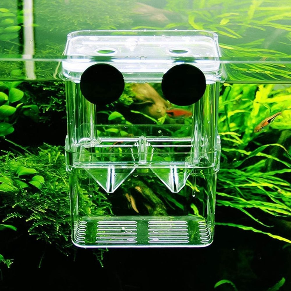 Multifunctional Aquarium Fish  - Aquarium Fish Reproduction recension och pris