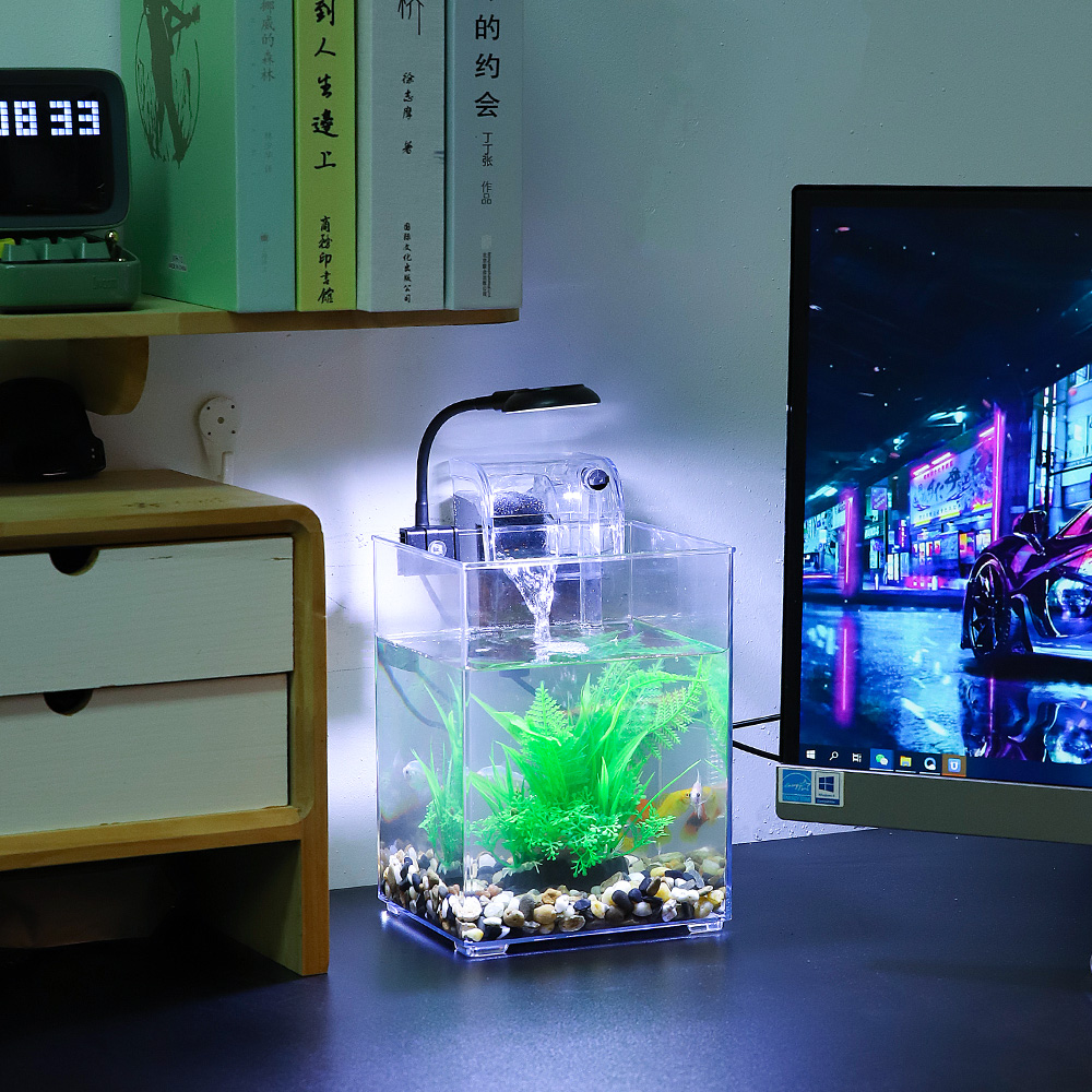 USB Desktop Fish Tank Set-Easy - Aquarium Fish For Beginners recension och pris
