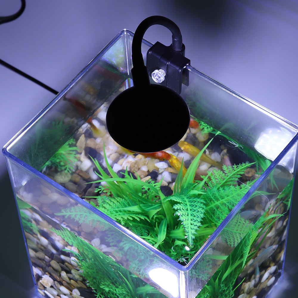 USB Desktop Fish Tank Set-Easy - Aquarium Fish For Beginners recension och pris